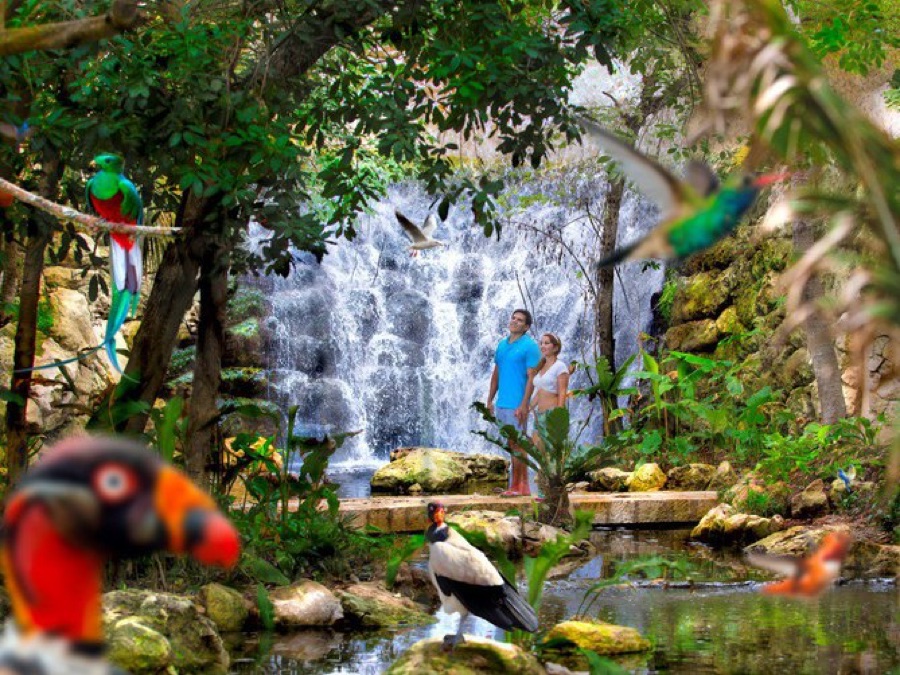 Paquete 2 Experiencias Xcaret con Transporte -20%OFF