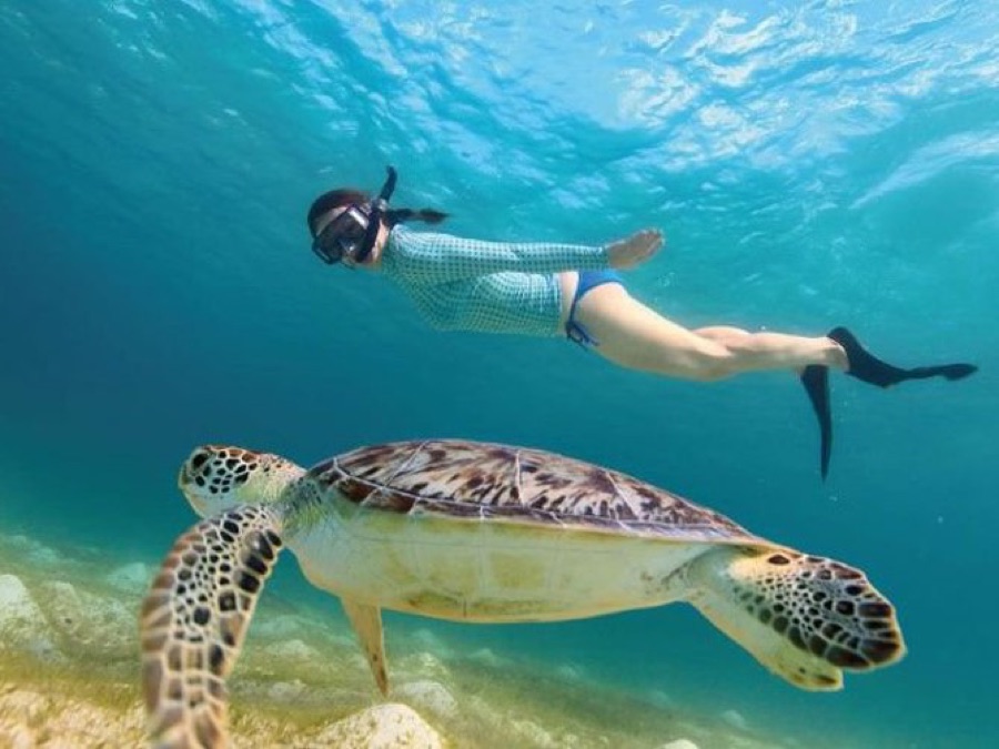 Tulum, Cenote y Nado con Tortugas en Akumal