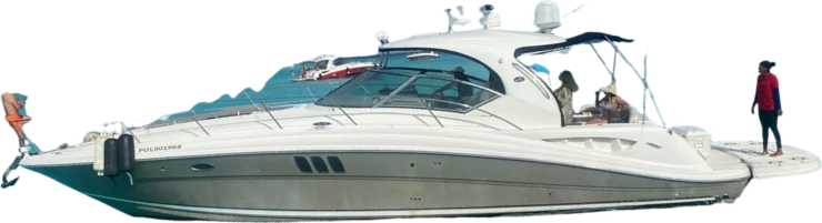 Dolphin · Sea Ray de 48 pies