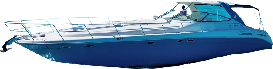 Sea Whale · Sea Ray Sundancer de 60 pies